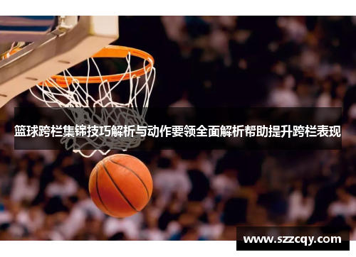 篮球跨栏集锦技巧解析与动作要领全面解析帮助提升跨栏表现