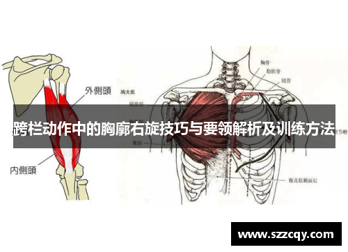跨栏动作中的胸廓右旋技巧与要领解析及训练方法