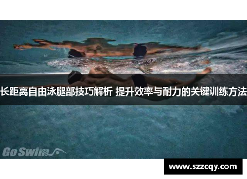 长距离自由泳腿部技巧解析 提升效率与耐力的关键训练方法